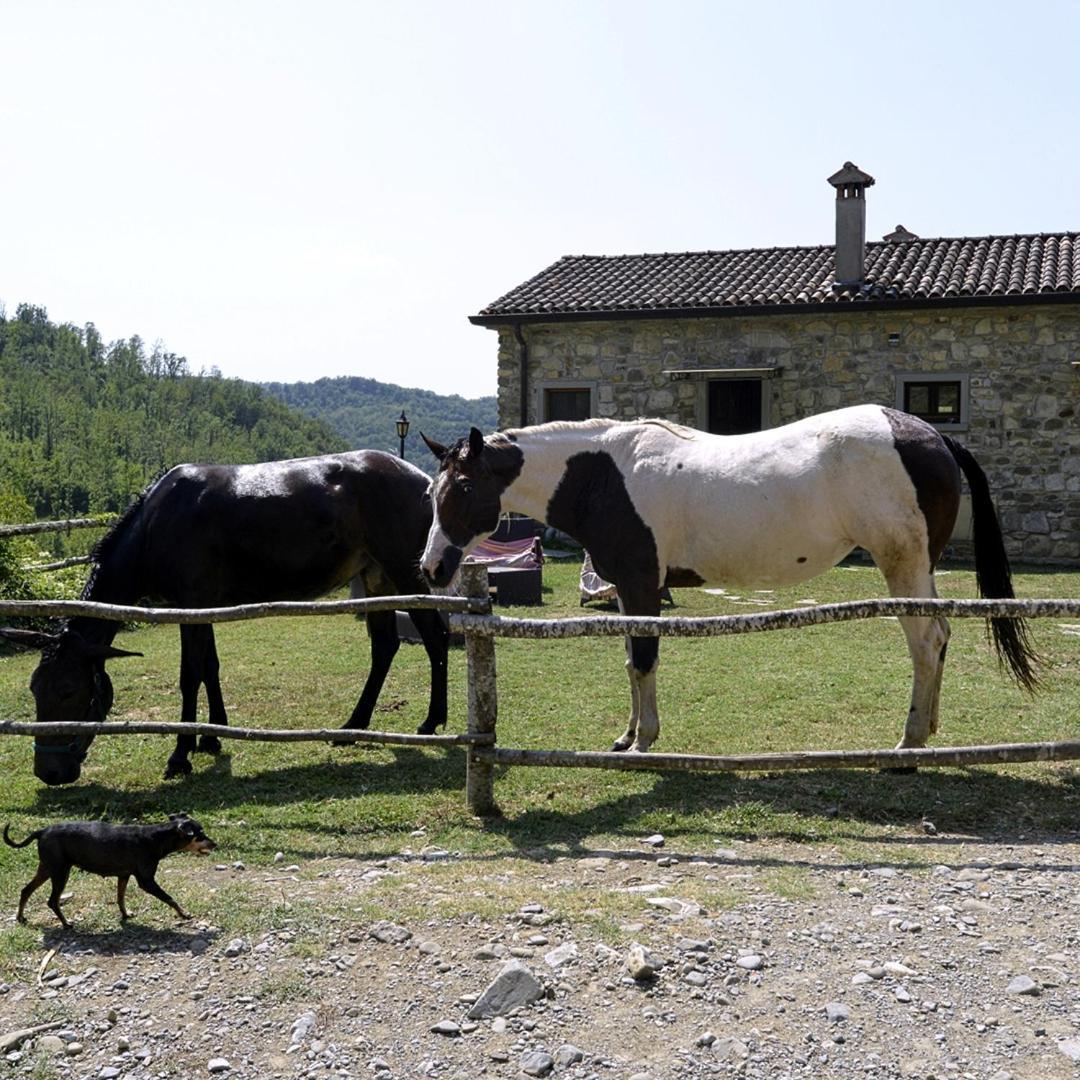 Le Chianine Dei Tognoli Villa Gragnola Kültér fotó
