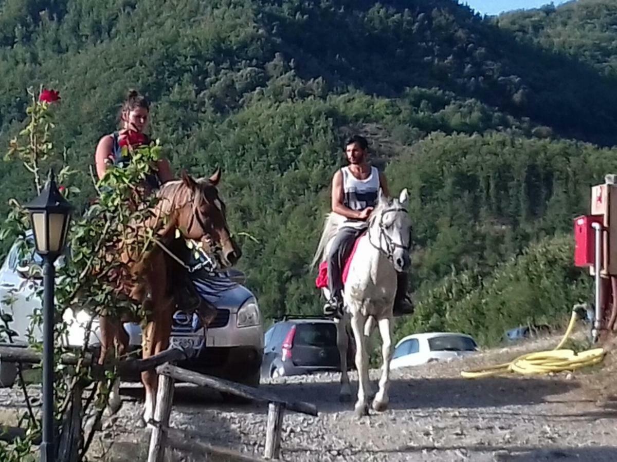 Le Chianine Dei Tognoli Villa Gragnola Kültér fotó