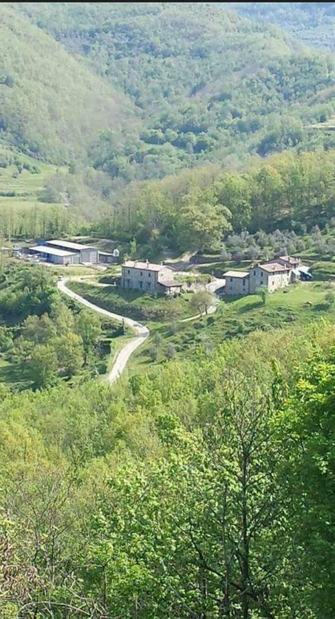 Le Chianine Dei Tognoli Villa Gragnola Kültér fotó